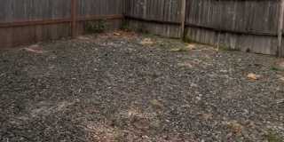 Marysville Updated Townhome Marysville Updated Townhome Gallery 27