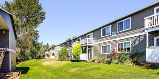 Irwin Park Gallery 9