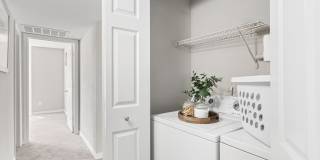 Polo Park Gallery 21