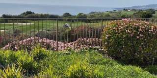 3200 La Rotonda Gallery 41