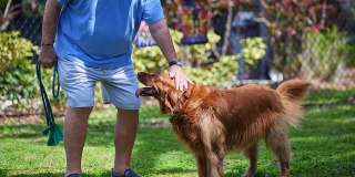 Arietta 55+ Senior Living Gallery 19
