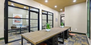 Vineyards Gallery 4