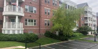 Downtown 1BR/1BA Condo in Beautiful Building Downtown 1BR/1BA Condo in Beautiful Building Gallery 1