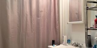 Nicely renovated 3 bed on the Green Line in Brookline. Gallery 6