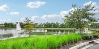 Springs at Gulf Coast Gallery 45