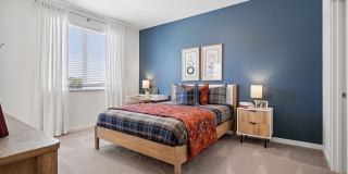 Echo Paired Homes Gallery 64
