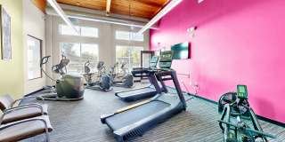 Shoreview Grand Gallery 16