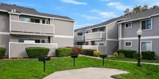 The Sycamores Apartments Gallery 18