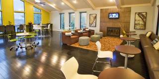 Lionshead Apartments Gallery 6
