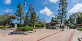 37 Cottonwood Gallery 21