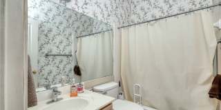 1421 Spiderlily View Gallery 9