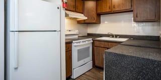 Windsor Court Gallery 7