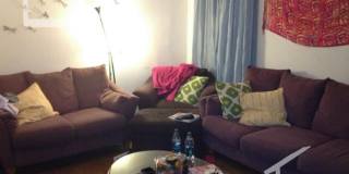 Great 3 Bed Available 9/1/26 (Fenway) Gallery 1