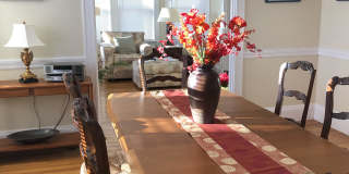 224 Albion St Gallery 1