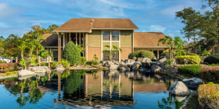 Whisper Lake Gallery 17