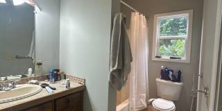 Large 4 Bedroom, 3 bathroom house near Downtown Gallery 19
