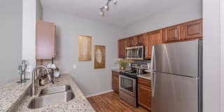 Harbor Cove Gallery 14