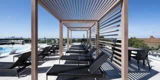 The Ascent at Top of the Hill Gallery 6