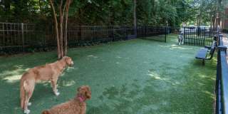 Allister North Hills Gallery 29