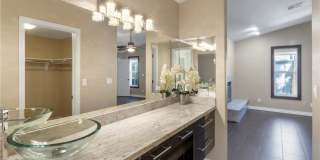 5205 Sandy Cactus Lane Gallery 26