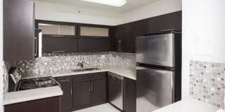 Flamingo South Beach Gallery 11