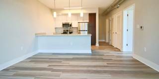 Main2525 Gallery 34