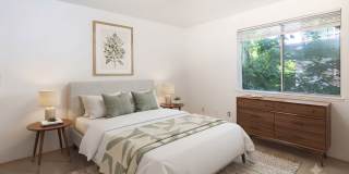 Cedar Park 8 Gallery 4