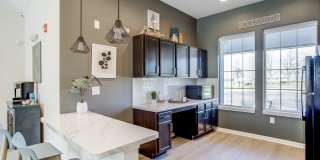 Ironwood Gallery 14