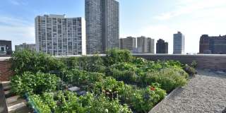 3833 N Broadway Gallery 394