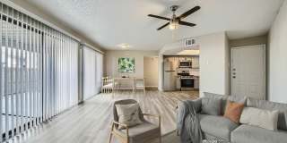 Rise Spring Pointe Gallery 69