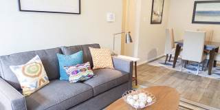 The Versailles Gallery 8