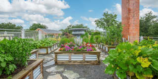 South Front Apartments Gallery 11