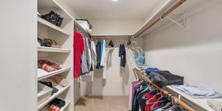 73170 Calliandra Street Gallery 28
