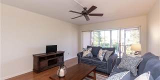 ***SEMI-FURNISHED OR UNFURNISHED***SANDCASTLE***QUIET COMMUNITY***ON ALAMANDA BLVD***BIKE TO THE BEACH***WALK TO PUBLIX AND PGA SUPERSTORE COMMERICAL CENTER*** Gallery 5