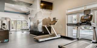 Copper Ridge Gallery 6