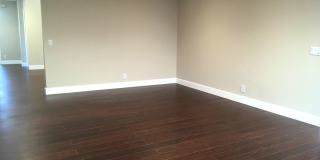 Single Story Stunner! Gallery 8