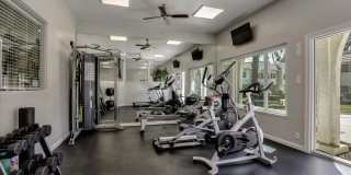 San Jose Gardens Gallery 4