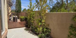 Summerlin Tudor Park Gallery 23