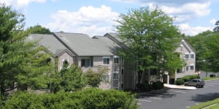 Allyson Gardens II Gallery 23