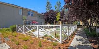 Saratoga Downs at Sheveland Ranch Gallery 114