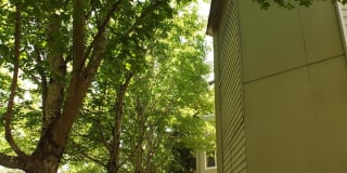 365 Madrona Ave. SE #C-3 Gallery 16
