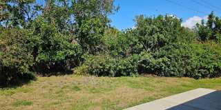 3441 51ST AVENUE CIRCLE W Gallery 41