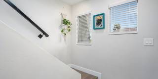 Beautiful 3 bed 2.5 baths "fully furnished" townhouse in the charming neighborhood of University Heights. Gallery 45