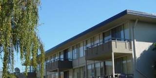 Montoya Garden Apartments Gallery 12