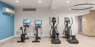 The Revival Gallery 46