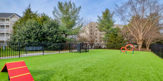 Windsor Herndon Gallery 38