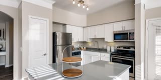 Lowry Park Gallery 2