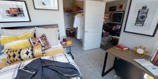 Student Housing - Luxe Belle Gallery 31