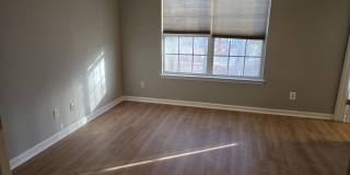 217 Climbing Ivy Court Gallery 16