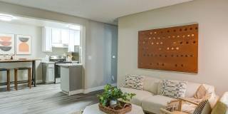 Austin Commons Gallery 4